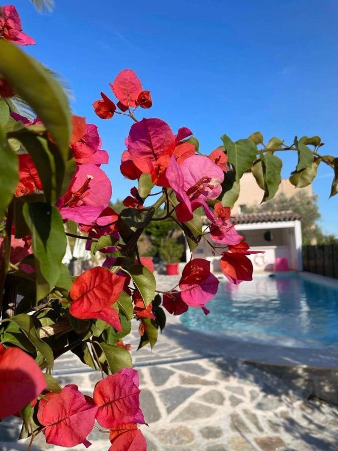 Maxima Sunset Apartman Sainte-Maxime Kültér fotó