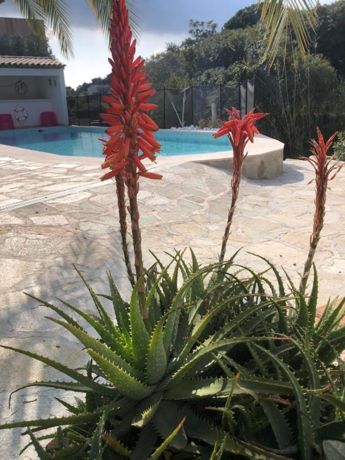 Maxima Sunset Apartman Sainte-Maxime Kültér fotó